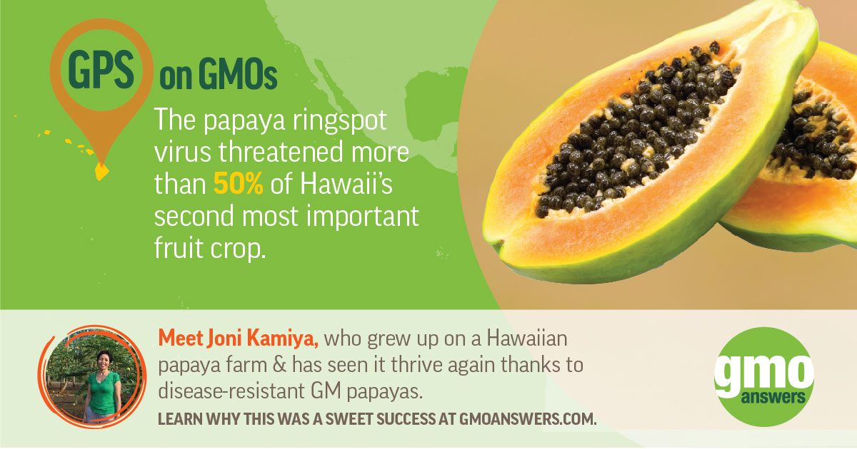 Why The GM Papaya Story Is Personal For This Hawaii Local GMO Answers